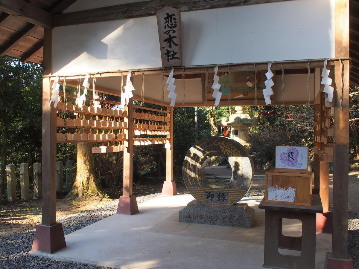 大きなごえんだまを発見‼