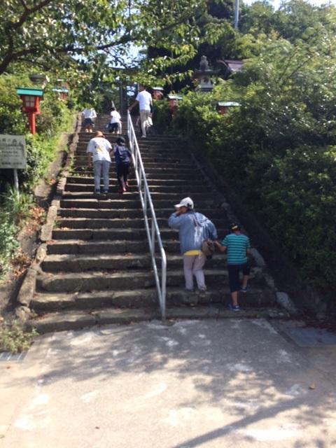エサやりの後は適度な運動を