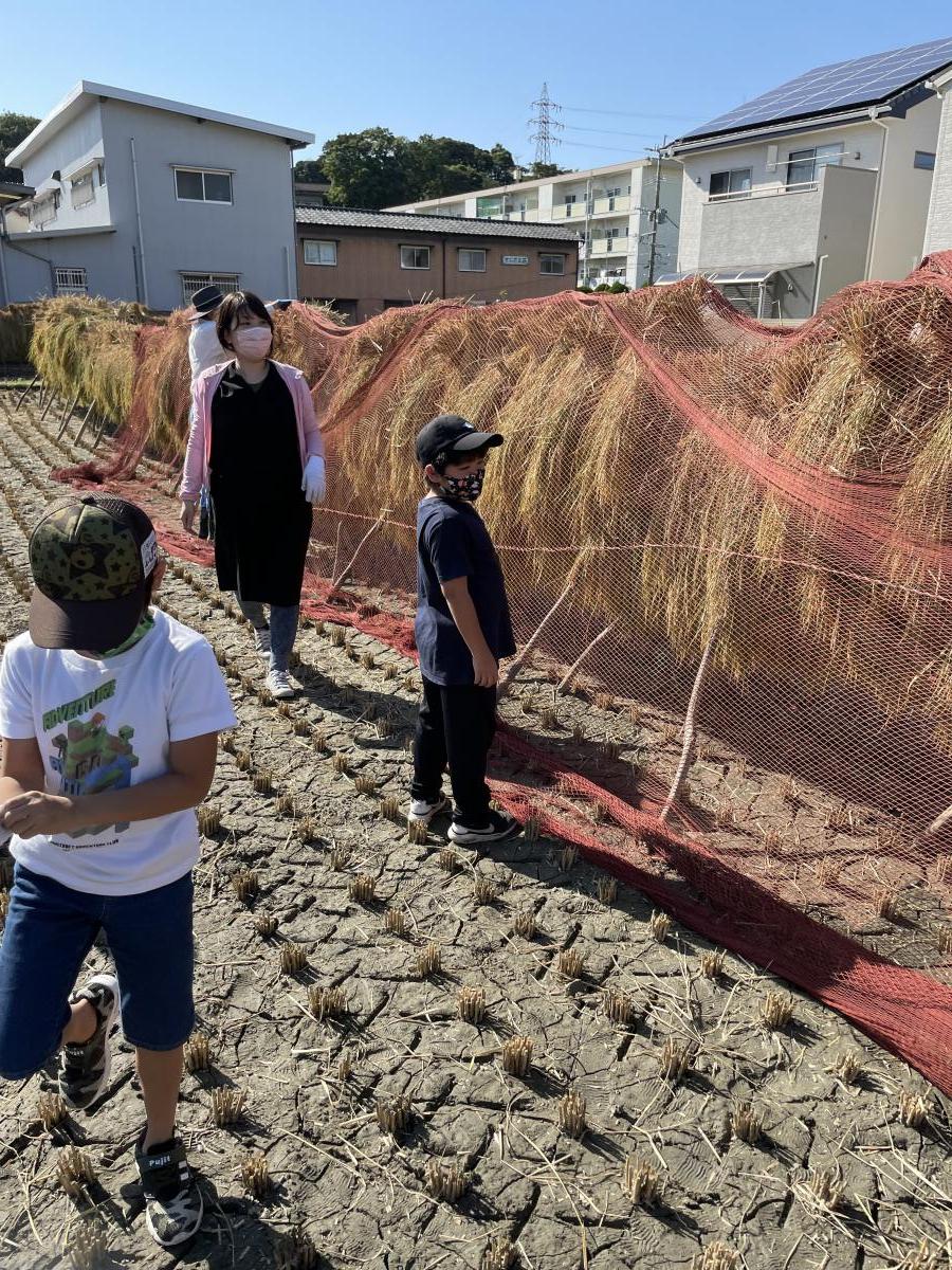 網掛け完了